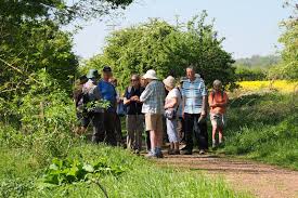Image result for Loddon Valley Rambling Group
