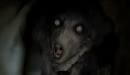 Don't Be Afraid of the Dark