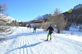 Image result for Scandinavian slope and cross country skiing