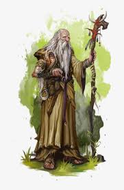 Image result for druid