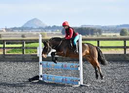 Image result for North Lammermuir Riding Club