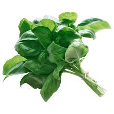 Image result for Basilikum
