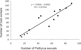 Attēlu rezultāti vaicājumam “Psithyrus sylvestris”