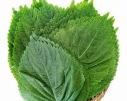 Afbeeldingsresultaat voor grubbs mystery green tomato