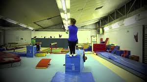 Image result for Swallows Of Helston Gym Club