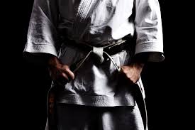 Image result for Burnley Wado Ryu Karate Club