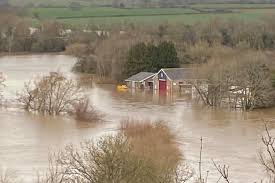 Image result for Ross Rowing Club