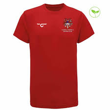 Image result for Llanelli Athletic Club