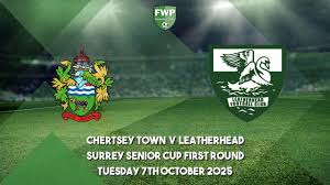 Image result for Chertsey Albion Fc