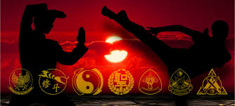 Image result for Professional  Martial Arts Academy