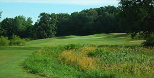 Image result for The Alt Golf Club