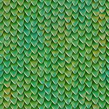 Image result for reptile scales