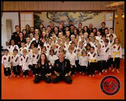 Image result for Phoenix Martial Arts