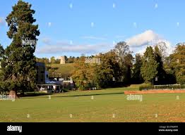 Image result for Much Wenlock Cricket Club