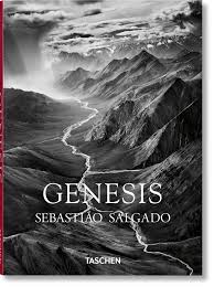 Image result for sebastiao salgado