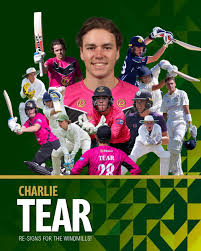 Image result for West Chiltington & Thakeham Cc