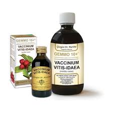 Attēlu rezultāti vaicājumam “Vaccinium vitis-idaea fruit”