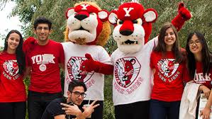 Image result for York University Canoepolo Club