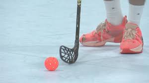 Image result for Brighton Rock Floorball Club