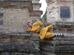 Image result for Shaolin Ancestors kung Fu School