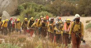 Image result for Hotshots