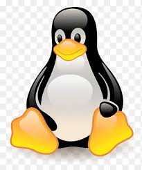 Image result for 3d linux penguin