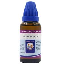 Attēlu rezultāti vaicājumam “Cicuta virosa”