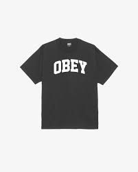 Image result for +obey +gravity t-shirt