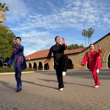 Image result for Wushu Tai Chi Club
