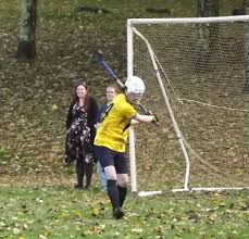 Image result for Cornwall Shinty Club