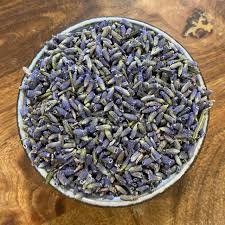 Attēlu rezultāti vaicājumam “Lavandula angustifolia bud”