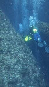Image result for Manta Divers Sub-Aqua Club