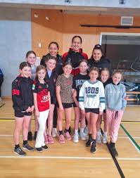 Image result for Cheshunt Youth Netball Club