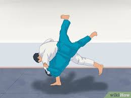 Image result for Phoenix Star Judo Club