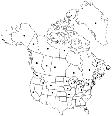 Attēlu rezultāti vaicājumam “Drepanocladus polygamus”