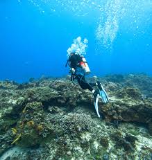 Image result for Scuba Fun