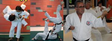 Image result for Carn Brea Karate Kai