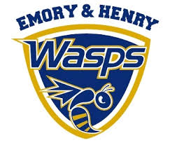 Image result for Wasps Football Club