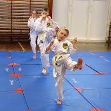 Image result for choi sul hapkido academy hapkido scotland