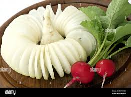 Image result for Rettich