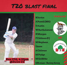 Image result for Luctonians Cricket Club