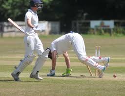 Image result for Lewdown Cricket Club