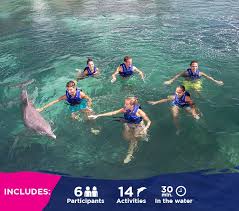 Image result for Dolphins Sheltered & Disabled Swim Club