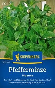 Image result for Pfefferminze