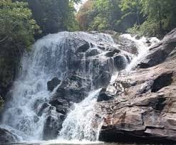 Image result for синхараджа