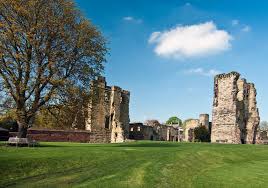 Image result for Ashby Castle Octopush Club