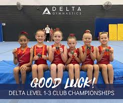 Image result for North Devon Display Gymnastics Club
