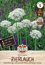 Image result for Zierlauch