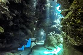 Image result for S England Dive Devil