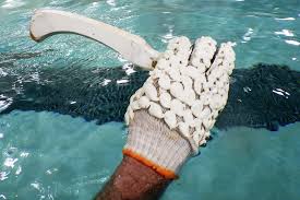 Image result for FXU Underwater Hockey